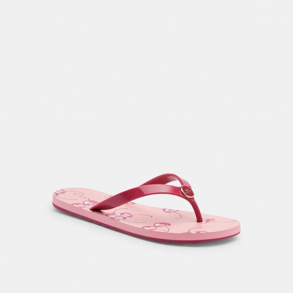 COACH Shoes - NWT Coach Outlet Zayn Flip Flop  Fruit Print